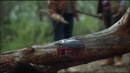 La Brea (Hindi) - Season 01 Episode 02